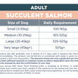 Load image into Gallery viewer, Adult: Succulent Salmon